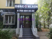 Салон красоты Dragonlash - на портале stylekz.su