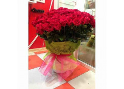 Magazin Gulder Tsvety