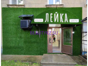 Доставка цветов и букетов Лейка - на портале stylekz.su