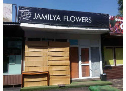 Jamila flowers