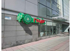 Астана бегония