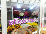 Магазин цветов Alfa flowers - на портале stylekz.su