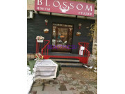 Магазин цветов Blossom - на портале stylekz.su