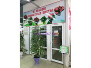 Магазин цветов Комнатные цветы - на портале stylekz.su