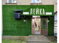 Лейка