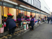 Магазин цветов Цветочный рынок - на портале stylekz.su