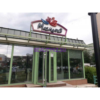 Магазин цветов - Магнолия Магазин цветов Магнолия - на портале stylekz.su